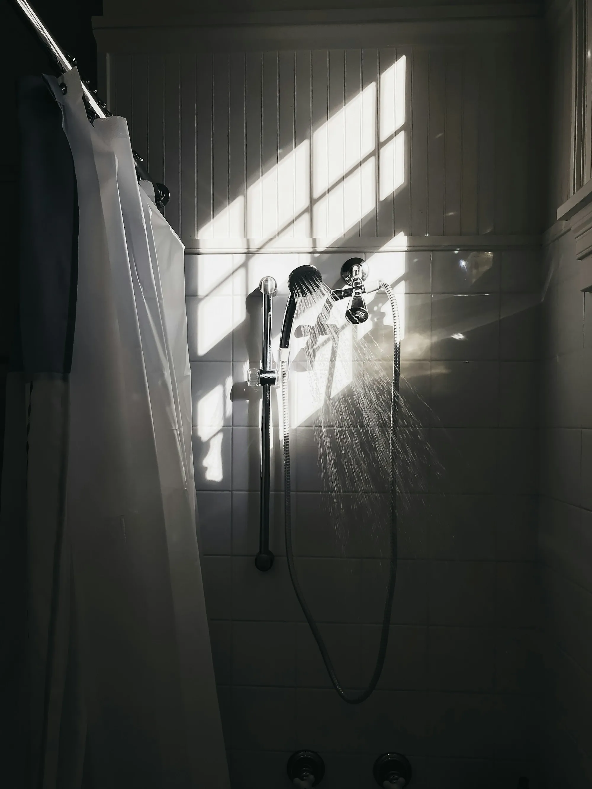 Salt-Free Water Conditioners in Fountain Valley Stainless steel shower head